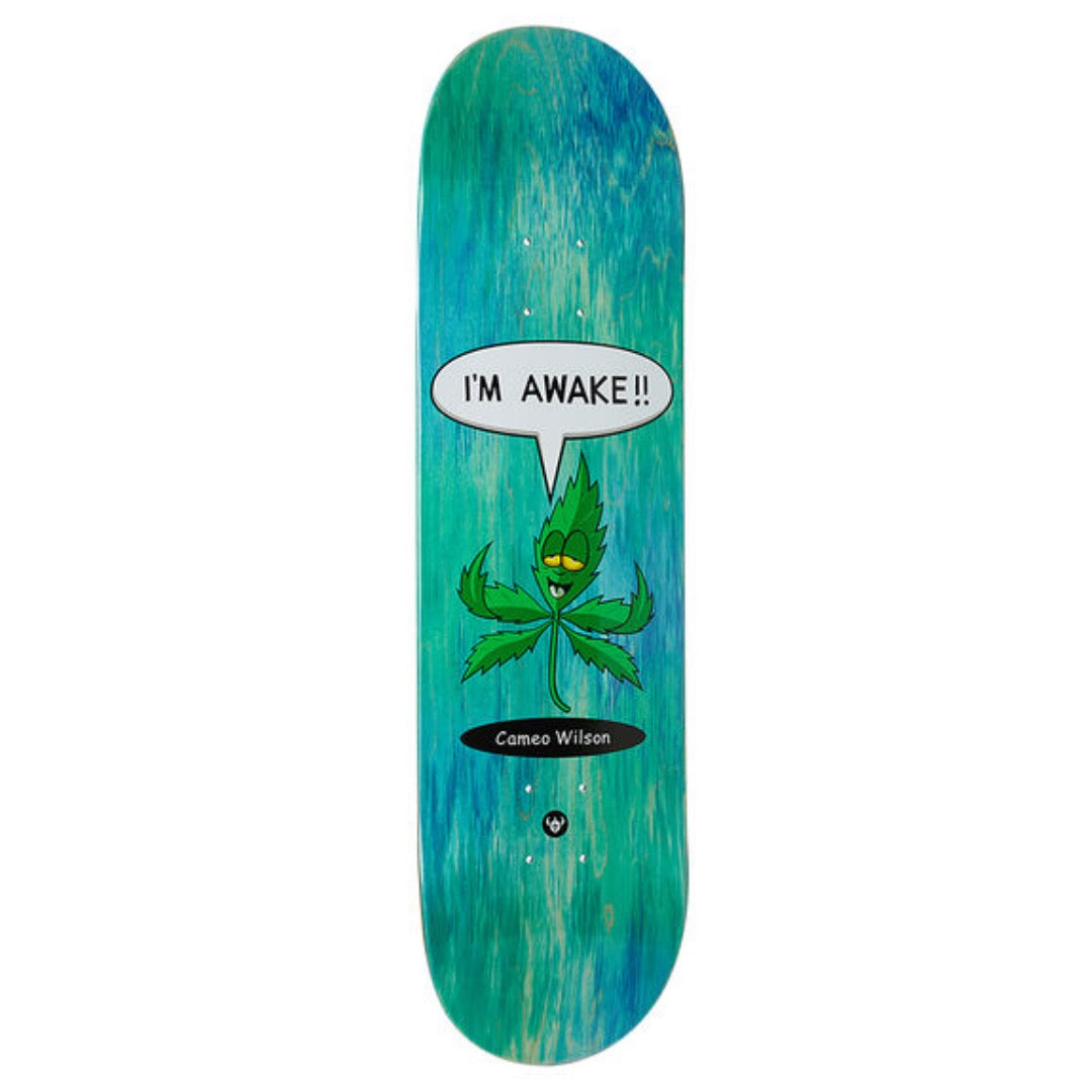 Darkstar Awake R7 Cameo Wilson Skateboard Deck